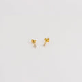 Les Classiques 2 mm