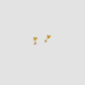 Les Classiques 3 mm